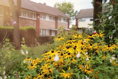 SAZ MEDIA RBH HOUSING4