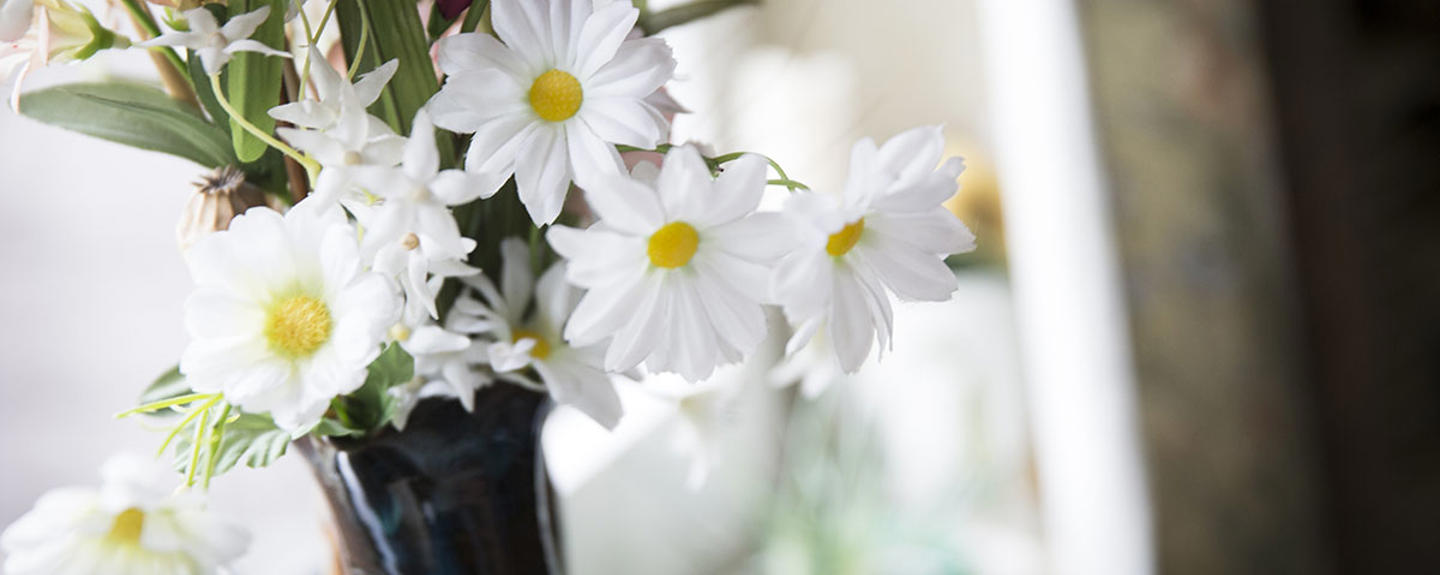 Flowers on window sill