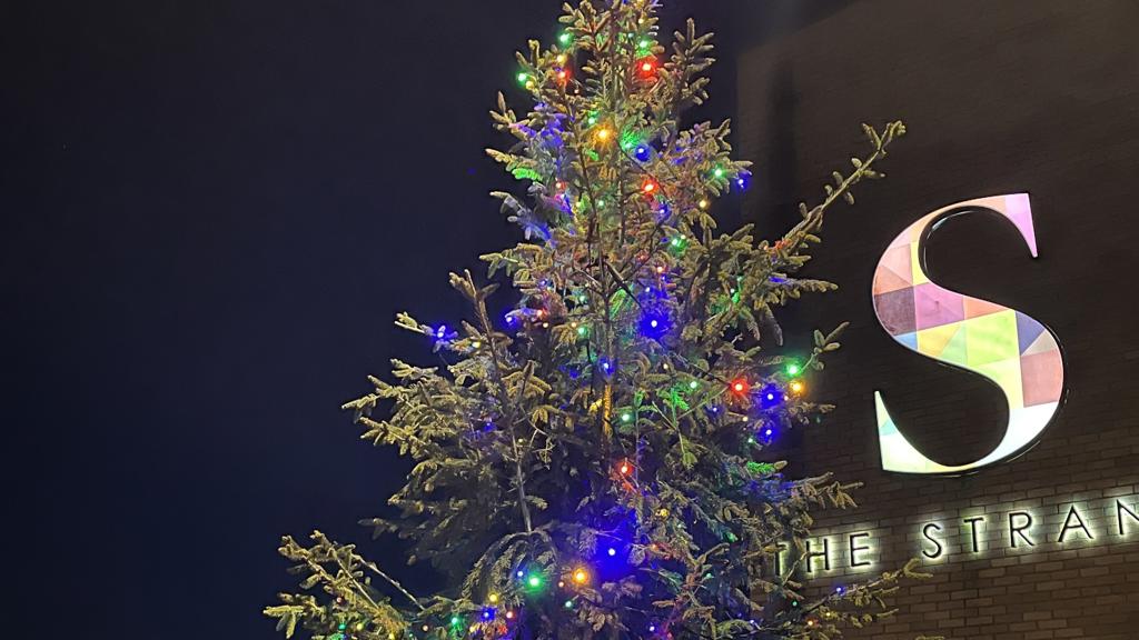 Strand & Xmas Tree Website